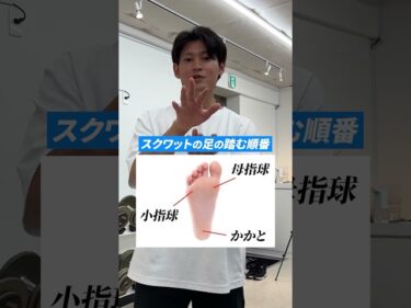 スクワットの踏み圧が変わる！足裏の踏む順番2025-06-20 18:19:05