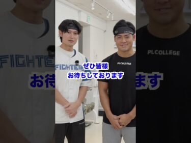 11月15,16日東京POPUP開催！パワーチューブ2025-11-12 20:00:03